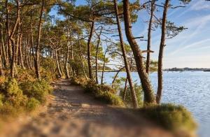 Appartements - Le Marechal- Port de Vannes : photos des chambres