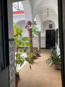 Charming 1900 Andalusian Apartment in Arcos de la Frontera