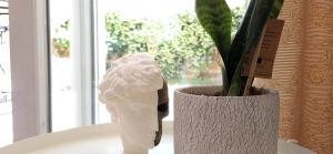 Apartman Cozy
