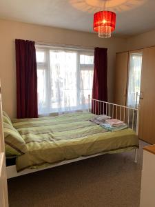 Room only guest accommodation, guest house self catering