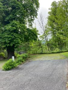 Campings Camping les Marronniers : photos des chambres