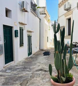 Le Terrazze di Vico Moline