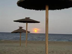 Appartement T3 Provençal avec Parking et Animaux admis, à 700m de la Plage - FR-1-799-54
