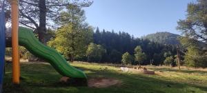 Valley redco bakuriani