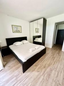 The golden triangle Apartment