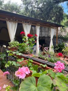 ASSUMBRA Casa Vacanze