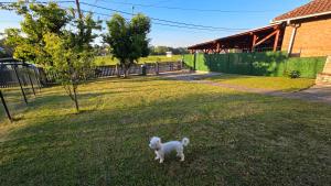 Vila Lena Banja Vrujci