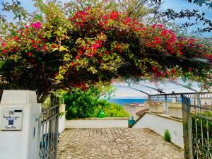 CASA AL MARE RIO b&n