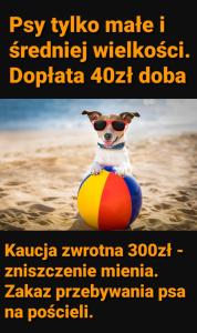 Suite Sandra Apartament