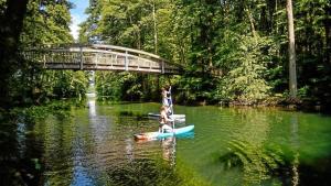 Naturidylle mit Kamin und Sauna in der Schorfheide