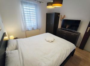 Tom & Jerry Apartment