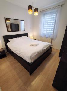 Tom & Jerry Apartment