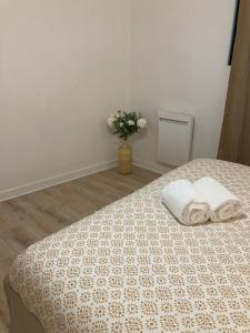 Appartements Le grand nid charmant : photos des chambres