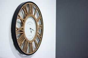 Le Lionceau, Proche ville, Fibre&Netflix, Parking