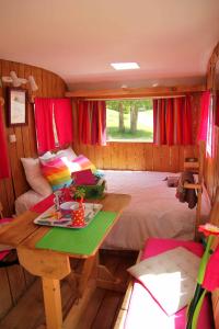 B&B / Chambres d'hotes Le Coeur De La Foret : Petite Chambre Double