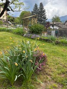 Casa GOLLES - Val Di Fiemme