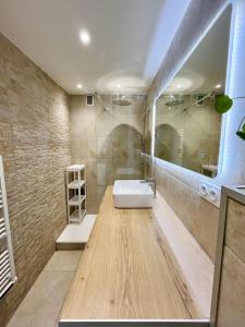 Appartements Le Chasse Royal - Calme & Lumineux - Centre du Mans - Parking Prive : photos des chambres