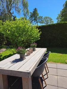 Zeeuwse Landhoeve Chalet