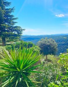 Gîte Le Figuier de Saint Ce Jardinet Terrasse Vue