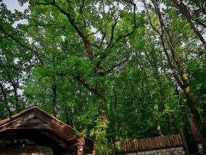 Etno House Šćepanov Hlad