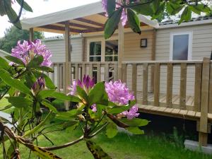 Mobil-home 3 chambres Pont-Aven