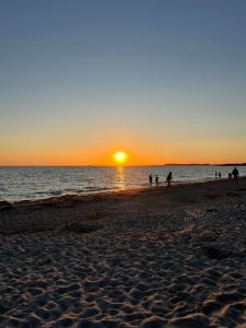 Appartements STUDIO Vue Mer plage immediate : photos des chambres