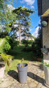 Maisons de vacances Le 45 : photos des chambres