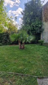 Maisons de vacances Le Petit Marais : photos des chambres