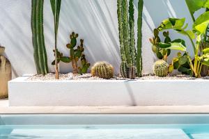 La Selva - Marlù House -