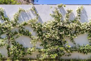 La Selva - Marlù House - img42