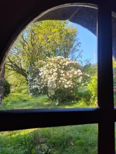 Villas Splendide MANOIR - Proche plages - 4 chambres - 3sdb - 8 pers - WIFI : photos des chambres