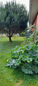 Maisons de vacances Maison spacieuse avec piscine et jardin : photos des chambres