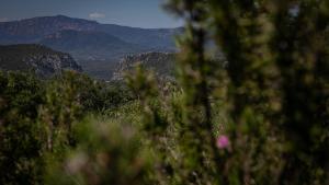 Villa del noce - Dorgali img66