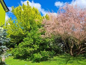 "Zur Alten Schusterei" 98597 Breitungen an der Werra