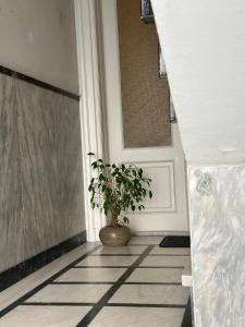 Timeless Thissio Home