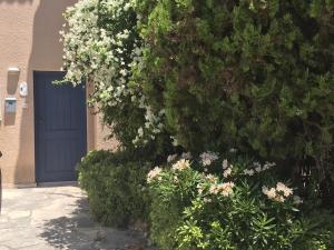 Limnaria Villas Kato Paphos - wonderful villa near the beach andfacilities