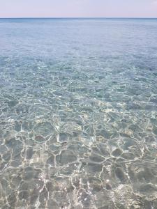 Centralissima casa Delfino