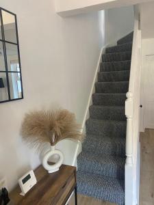 Cosy Terrace at Ravenhill