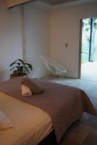 Villa Bonaire - tobia