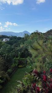 Las Terrazas Suites Studio Apartment