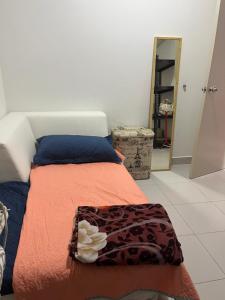 D Cerrum Homestay Eco H