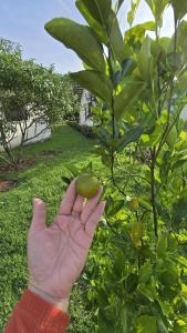 Cozy, Quiet & Spacious 4bd 3 bth Full Home Gated Community