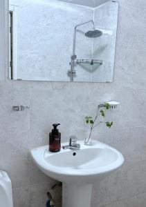 Cozy Sunlight Stay in Mapo