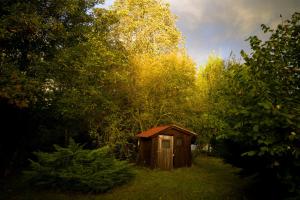 B&B / Chambres d'hotes Le Lion de Brenne : photos des chambres