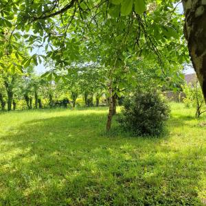 B&B / Chambres d'hotes Le Lion de Brenne : photos des chambres