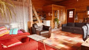 BB Polle - with the horse view