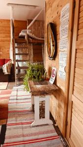 BB Polle - with the horse view