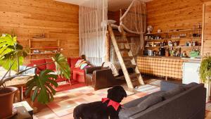 BB Polle - with the horse view