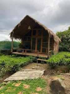 A Tea Hillside Bungalow