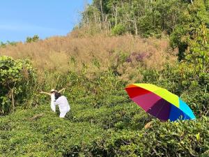 A Tea Hillside Bungalow